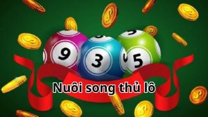nuôi lô song thủ