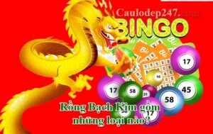 rồng bạch kim phổ biến