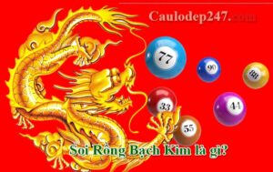 rồng bạch kim là gì