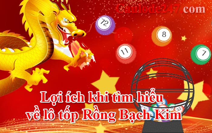 lợi ích khi tìm hiểu về lô tốp Rồng Bạch Kim