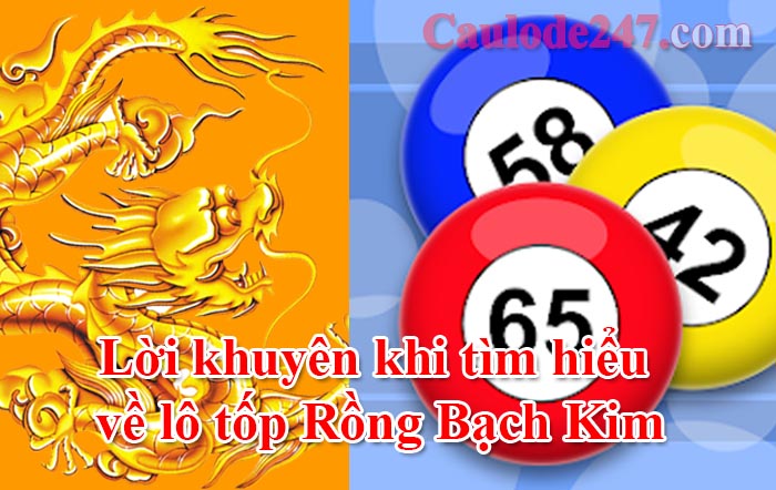 lô tốp rồng bạch kim