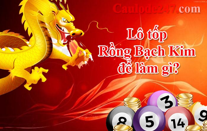 lô tốp rồng bạch kim
