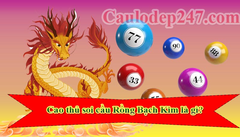 cao thủ soi cầu rồng bạch kim