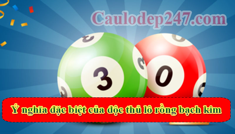 ý nghĩa đặc biệt của độc thủ lô rồng bạch kim