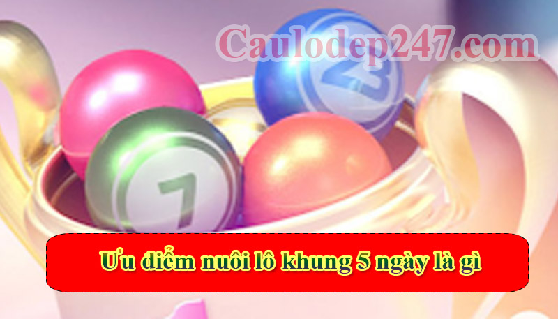 ưu điểm nuôi lô khung 5 ngày