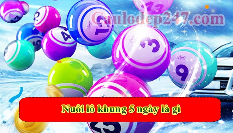 nuôi lô khung 5 ngày