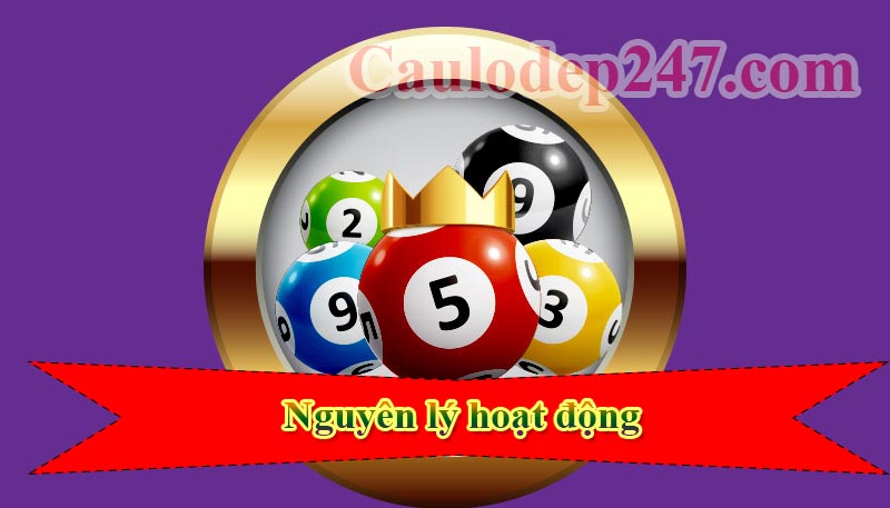 nguyên lý hoạt động