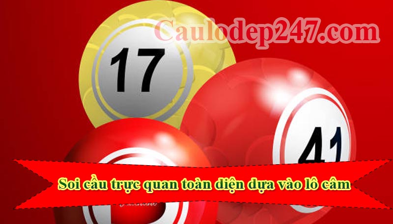 soi cầu trực quan toàn diện hiệu quả