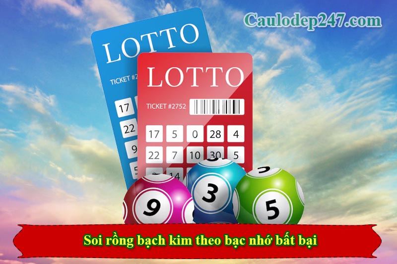 càu 247 rồng bạch kim theo bạc nhớ