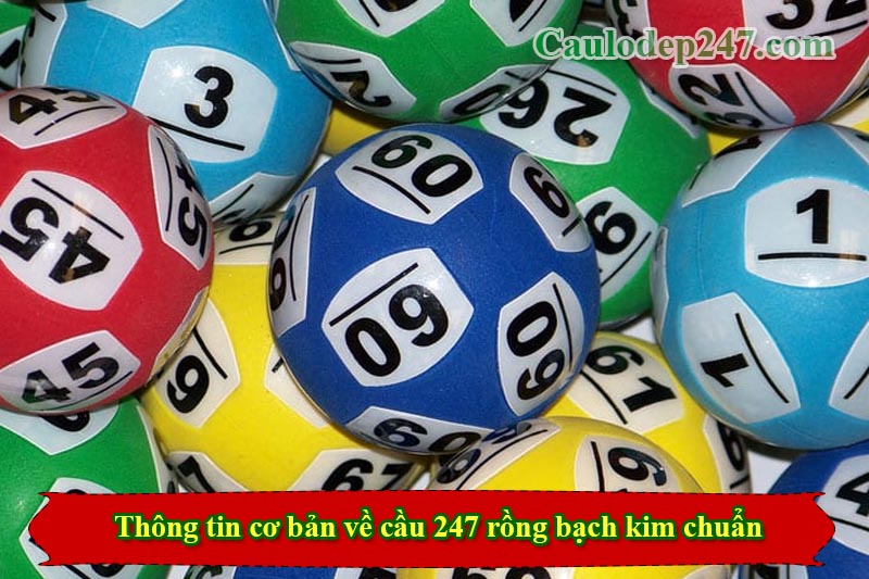 cầu 247 rồng bạch kim