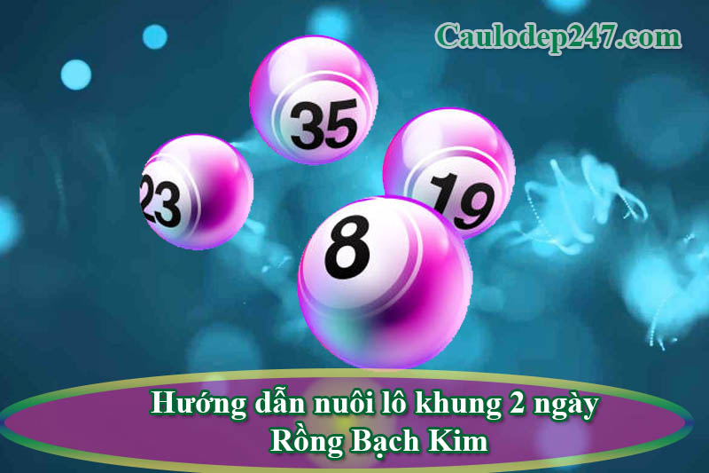 hướng dẫn nuôi lô khung 2 ngày