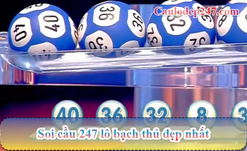 soi cầu 247 lô bạch thủ