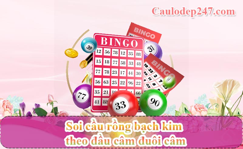 soi cầu rồng bạch kim theo đầu câm