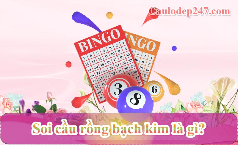 soi cầu rồng bạch kim