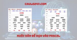 nuôi dàn đề dựa vào pascal