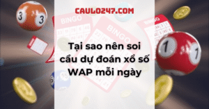 Tại sao nên soi cầu dự đoán xổ số WAP mỗi ngày