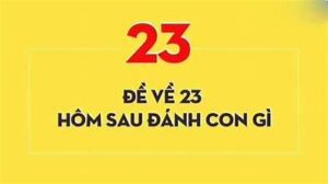 đề về 23 đánh số gì