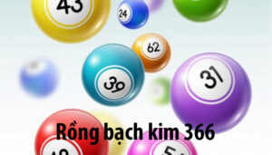 Rồng bạch kim 366