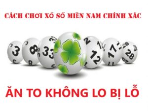 Cách chơi XSMN truyền thống hợp pháp nhất